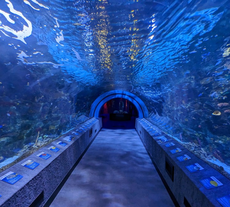 Newport Aquarium (Newport,&nbspKY)